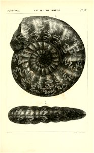 n418_w1150