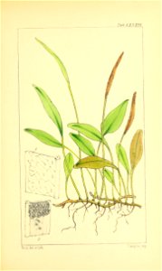 n366_w1150