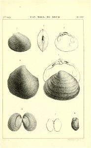 n536_w1150