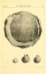 n506_w1150