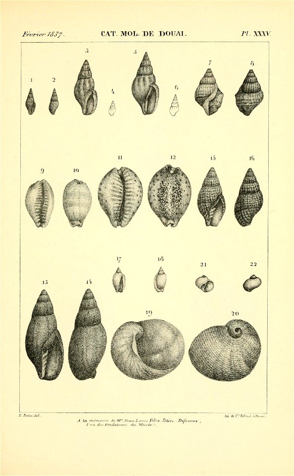 n476_w1150