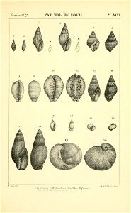 n476_w1150