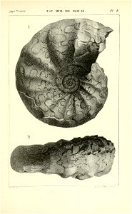 n416_w1150
