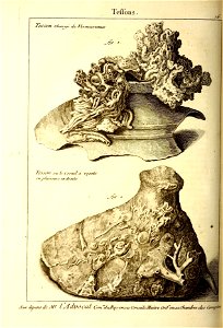 n385_w1150