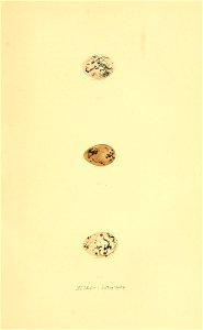n104_w1150