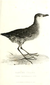 n212_w1150