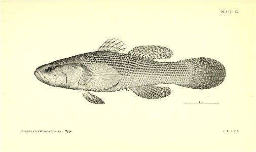 n104_w1150