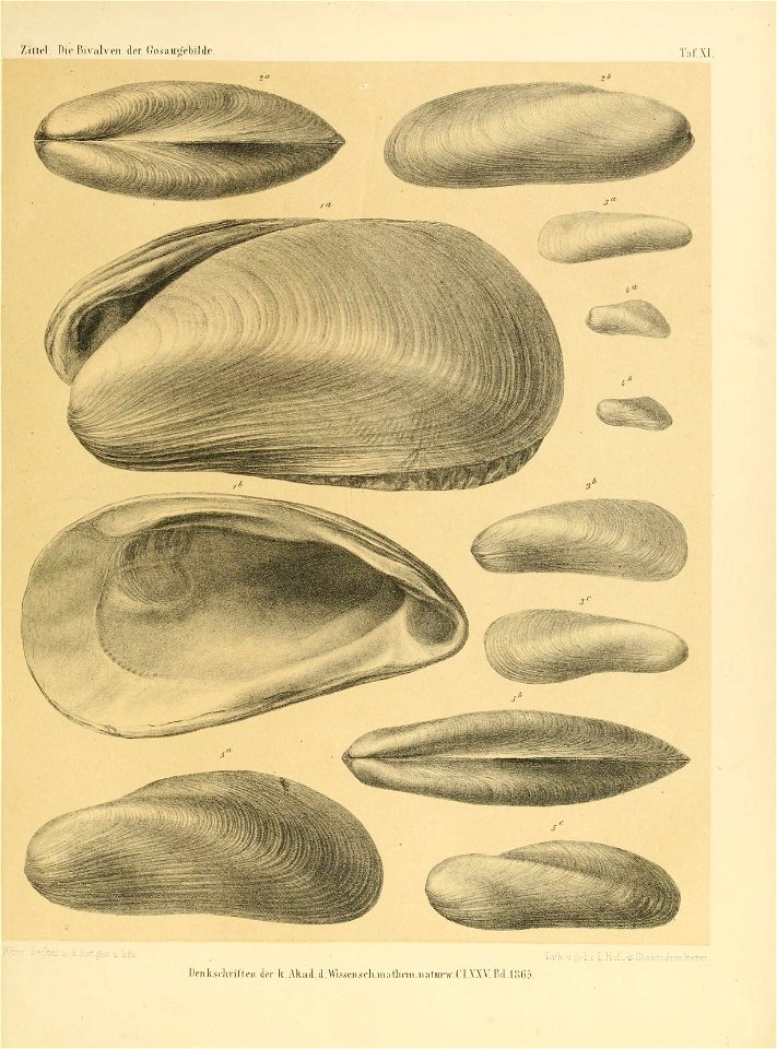 n252_w1150