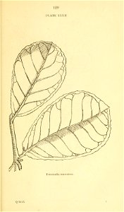n150_w1150