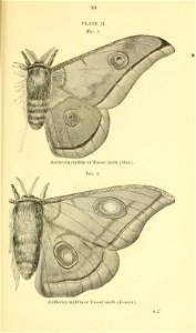 n120_w1150