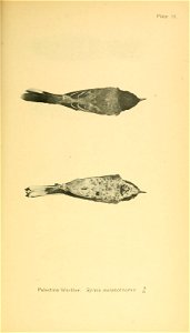 n154_w1150