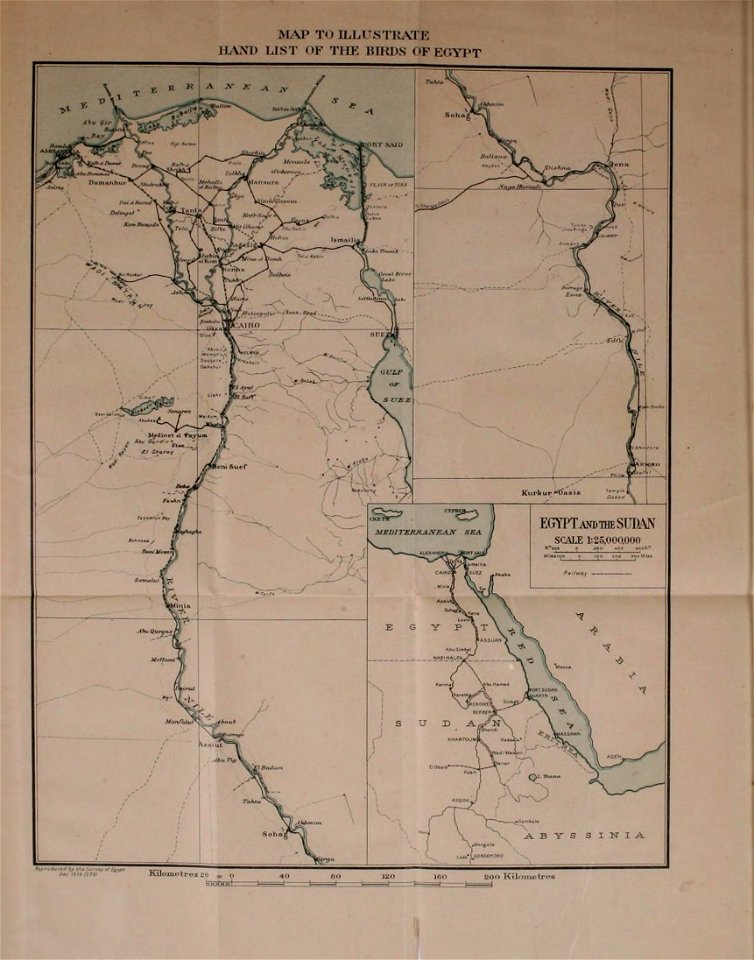 n8_w1150