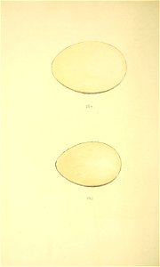 n267_w1150