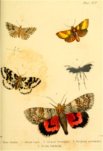 n254_w1150