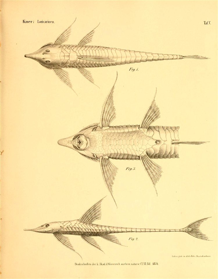 n48_w1150