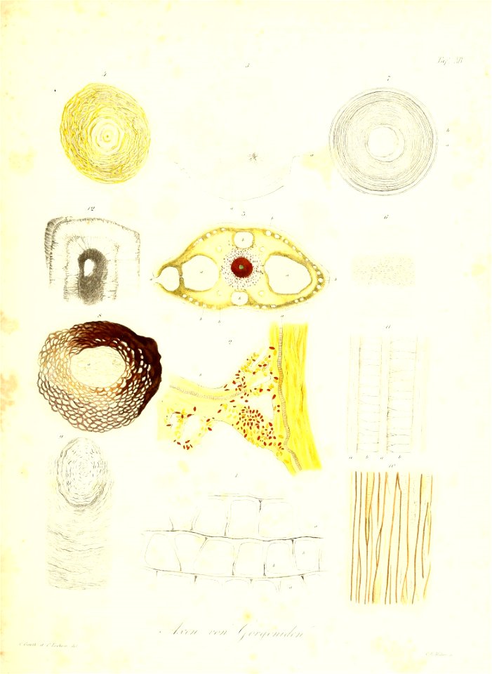 n228_w1150