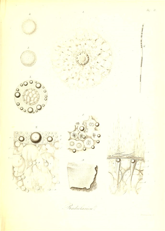 n104_w1150