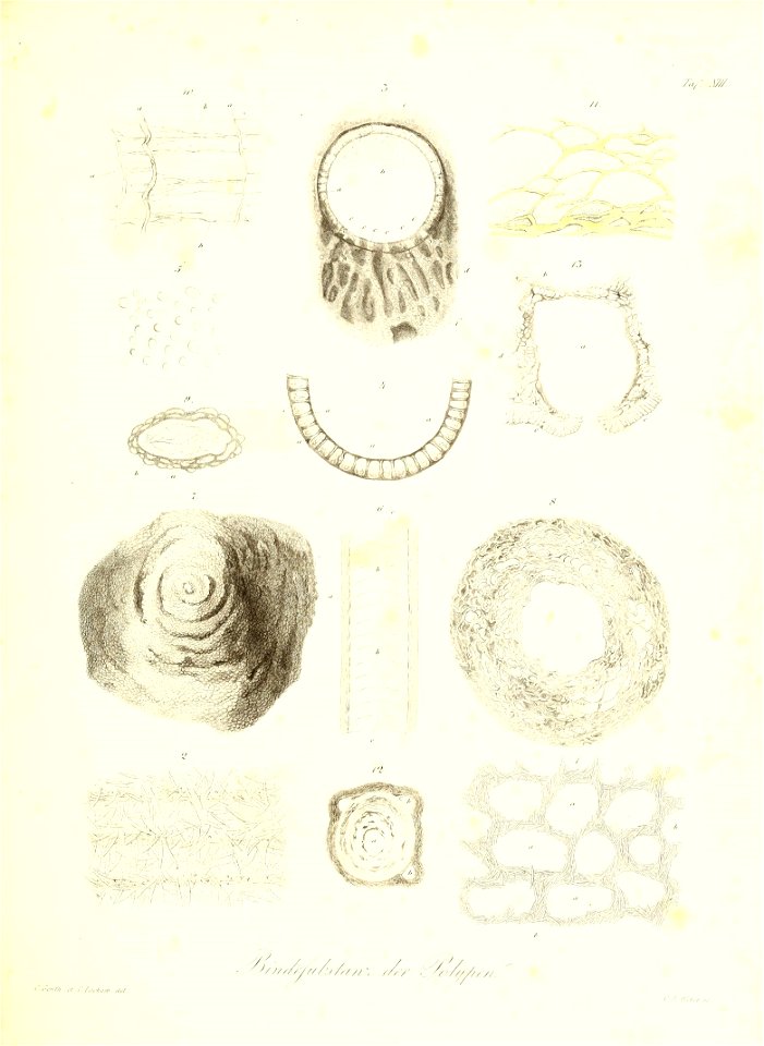n226_w1150