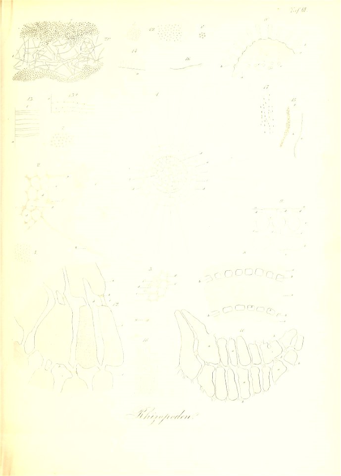 n102_w1150