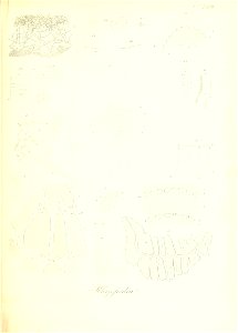 n102_w1150