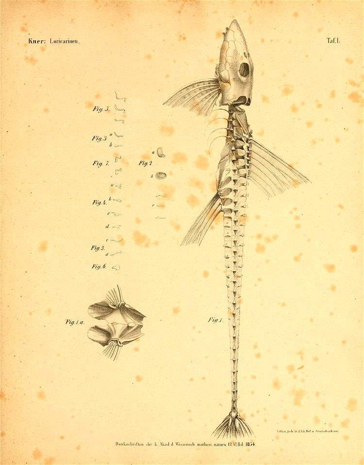 n40_w1150