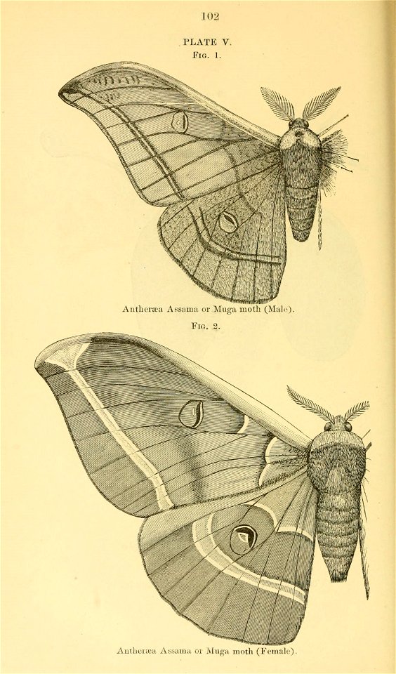 n123_w1150