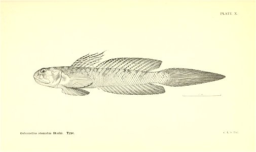 n106_w1150