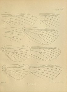 n464_w1150