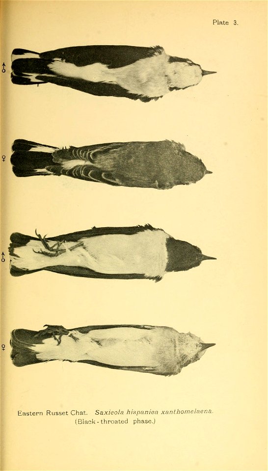 n142_w1150