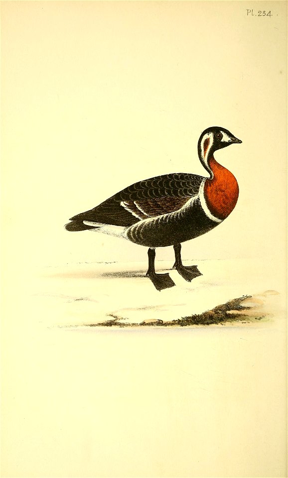 n69_w1150