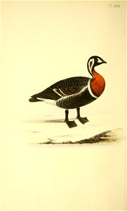 n69_w1150