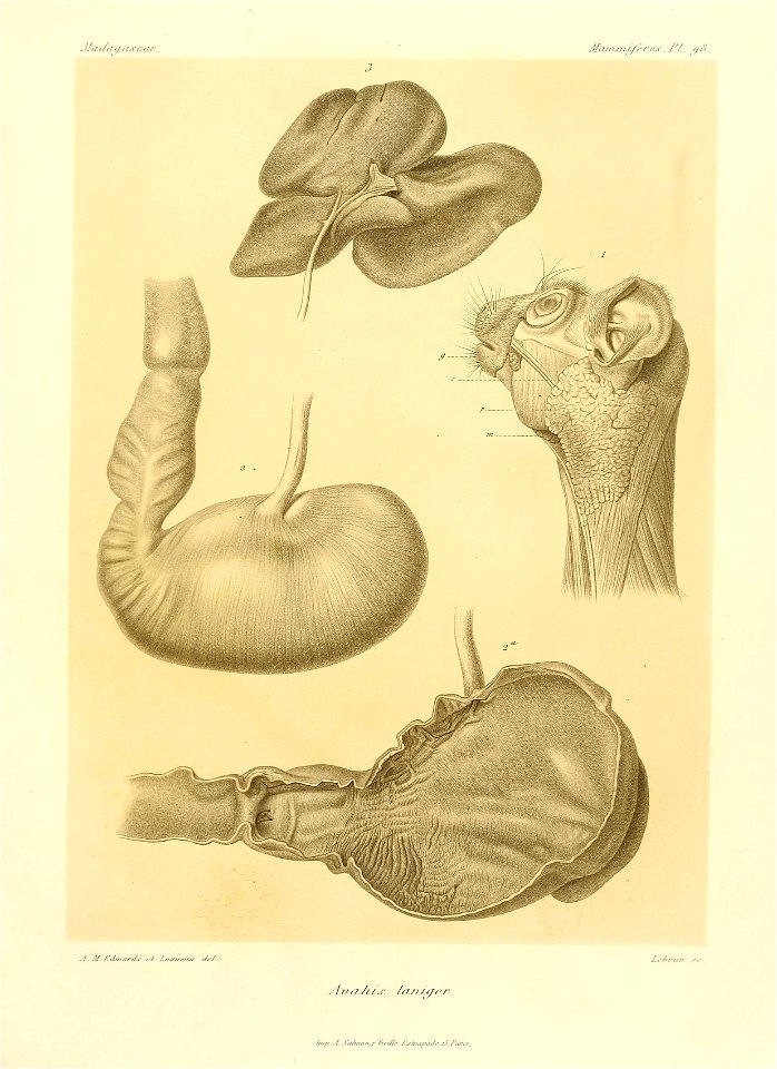 n206_w1150