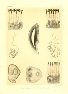 n172_w1150