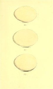 n292_w1150