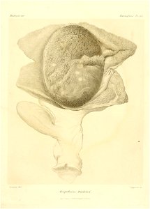 n238_w1150