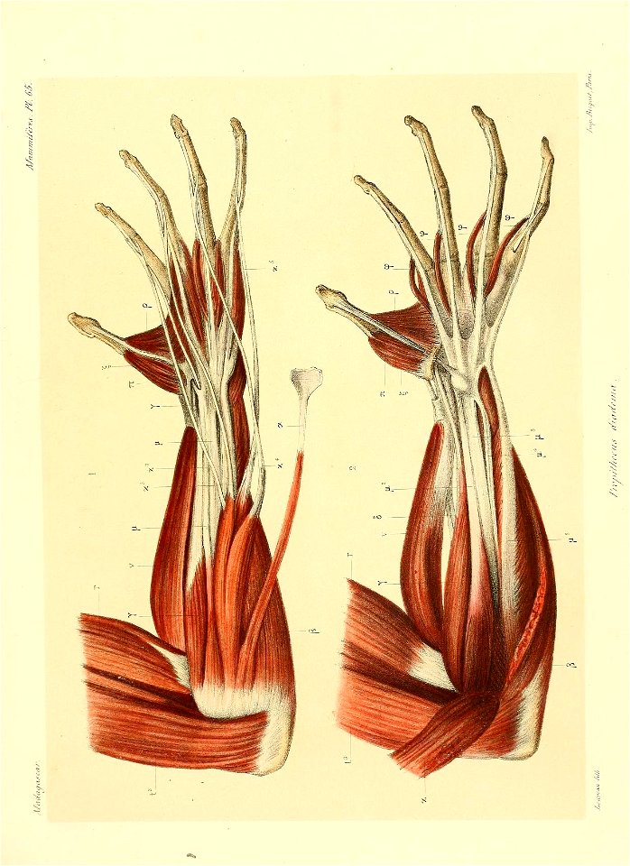 n136_w1150