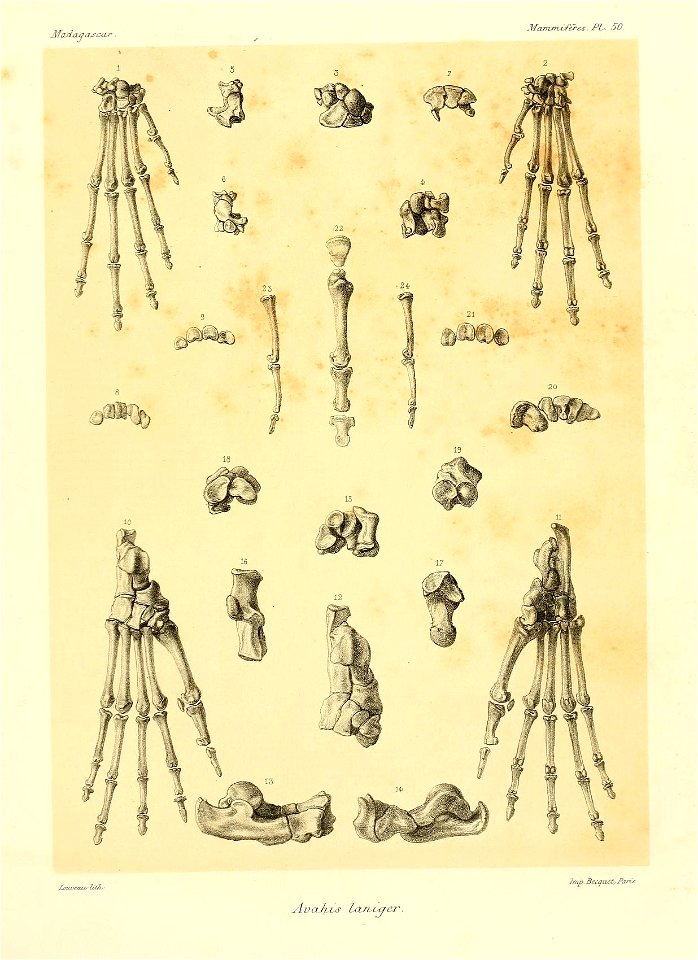 n106_w1150