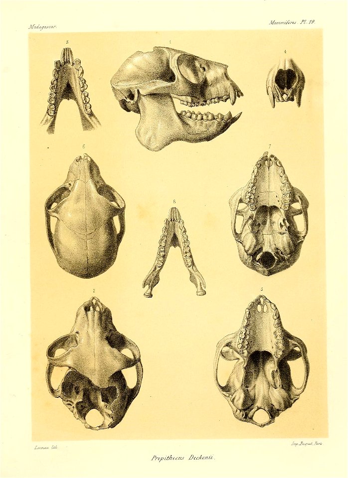 n44_w1150