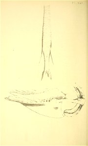 n123_w1150