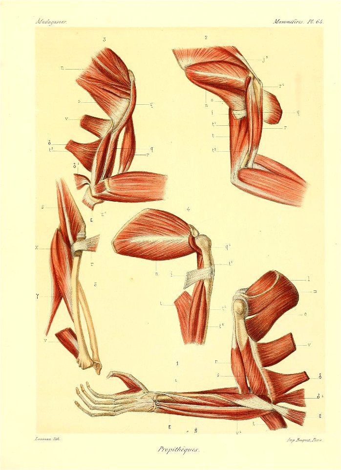 n134_w1150