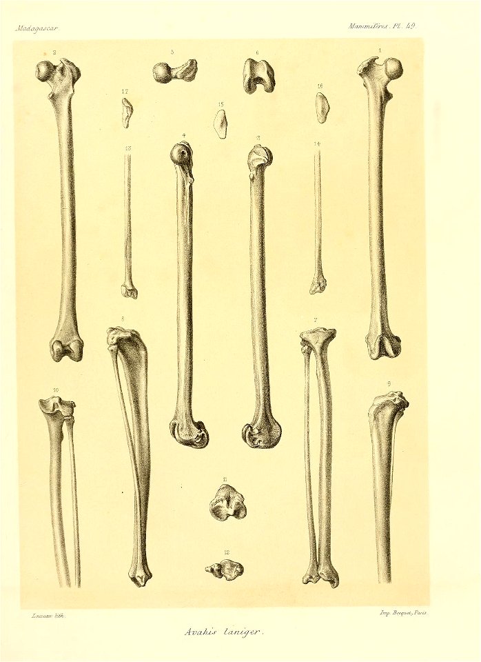 n104_w1150