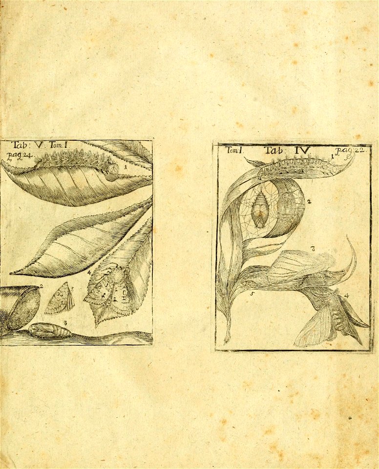 n4_w1150