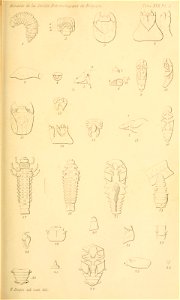 n486_w1150
