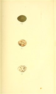 n170_w1150