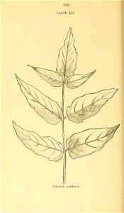 n159_w1150
