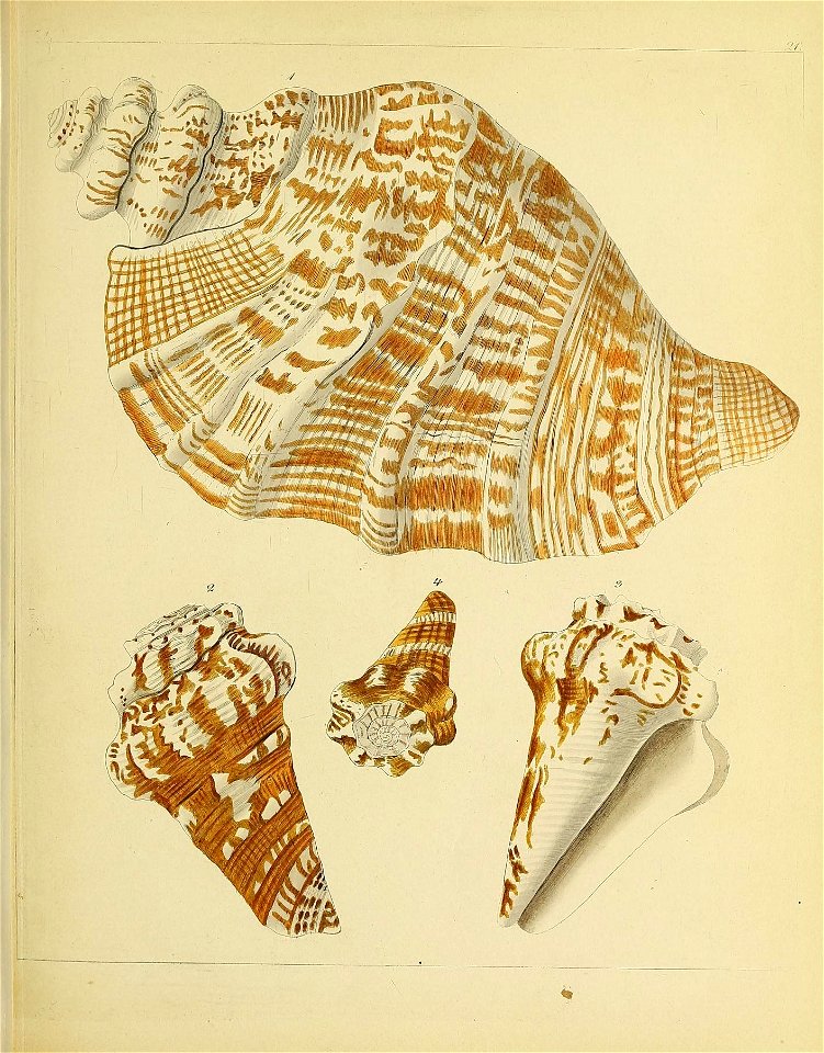 n172_w1150