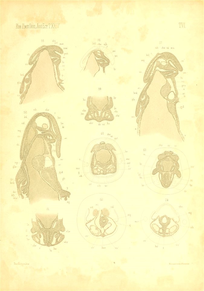 n114_w1150