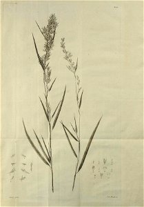n88_w1150