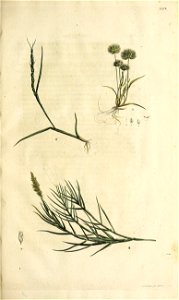 n272_w1150