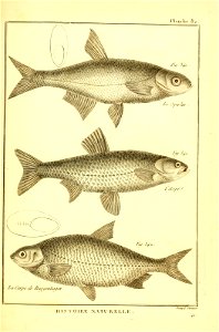 n446_w1150
